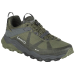 Кросівки AKU FlyRock GTX Green/Grey