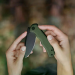 Нож Civivi Mini Praxis Olive