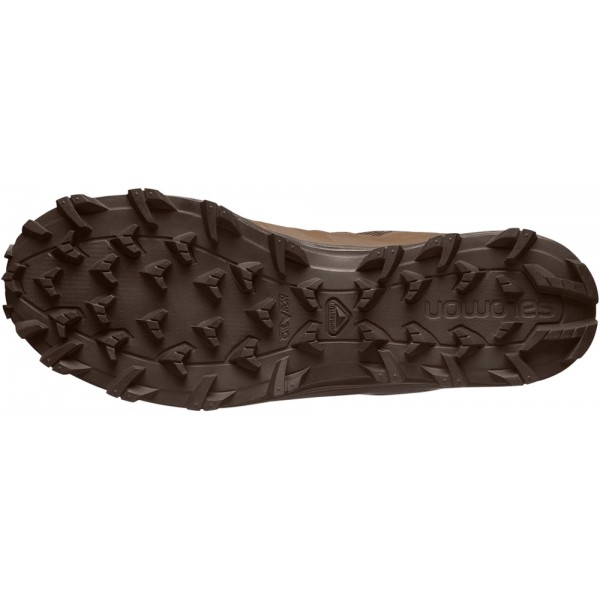Кроссовки Salomon SPEED ASSAULT 2 Earth