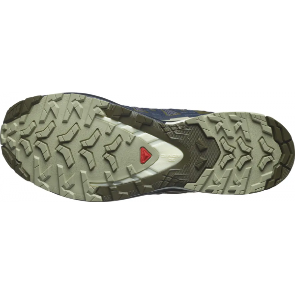 Кросівки Salomon outdoor XA PRO 3D V9 India