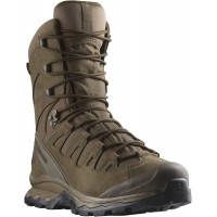 Ботинки Salomon QUEST 4D Forces 2 High GTX Earth