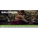 Кроссовки Salomon SPEED ASSAULT 2 Earth